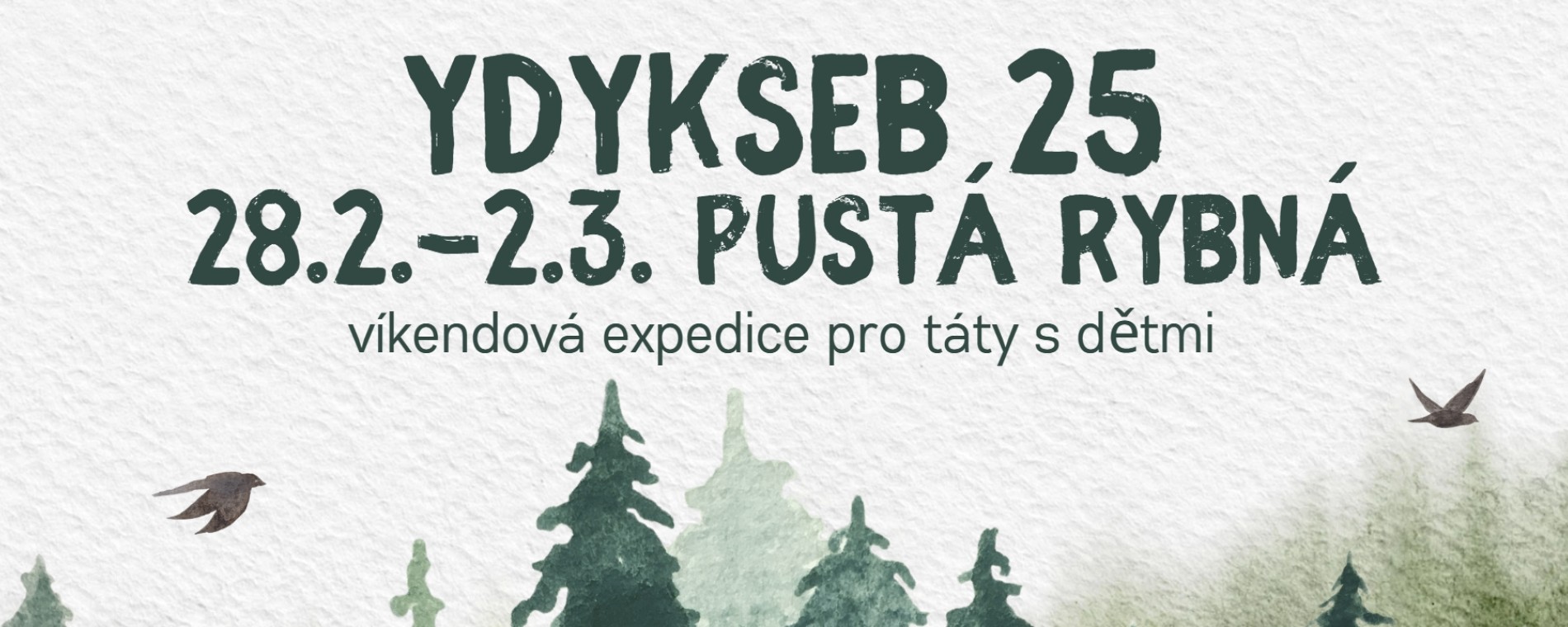 Ydykseb 25